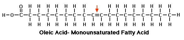 monounsaturated fatty acid