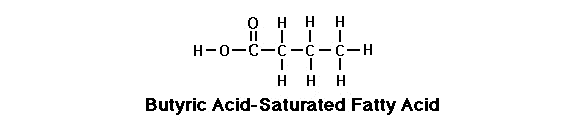 saturated fatty acid