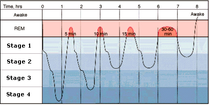 SleepCycle