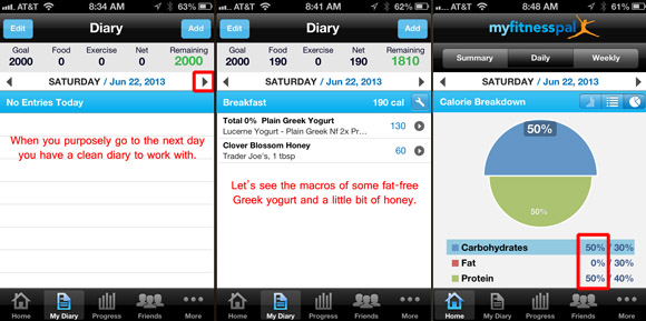clean diary example