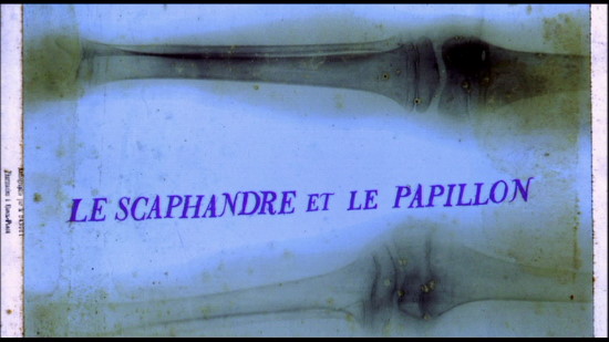 diving bell and butterfly le scaphandre et le papillon