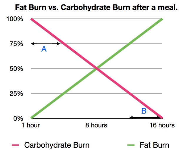 This graph exemplifies the simple idea that after a meal, there is no fat burning going on. As time passes, the body burns less carbs and eventually burns almost completely fat.