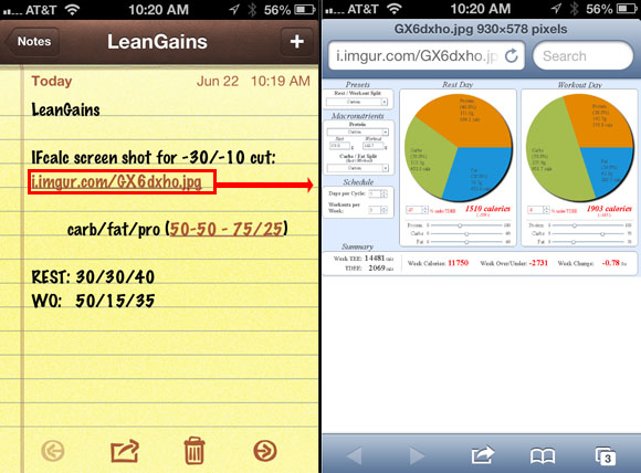 leangains macros
