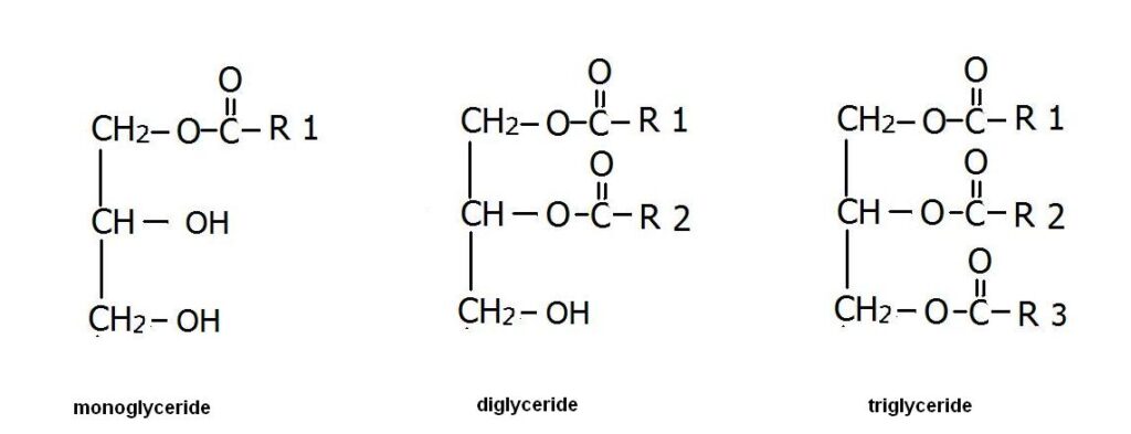 monoglyceride, diglyceride, triglyceride