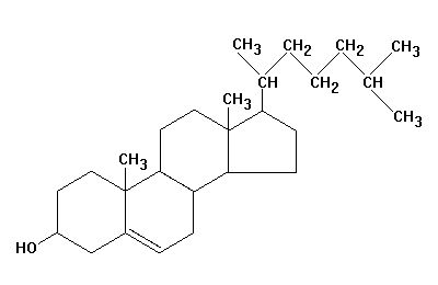 Structure of Cholesterol