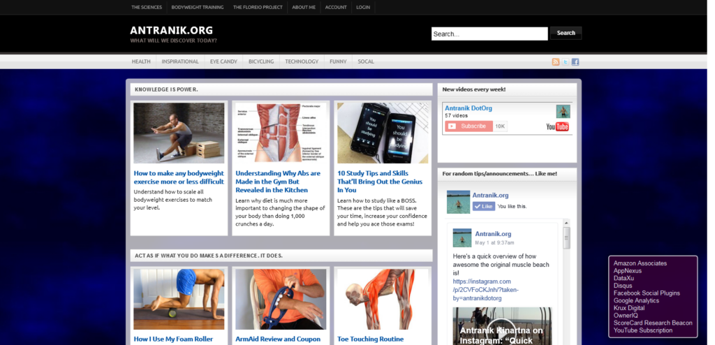 old website 2