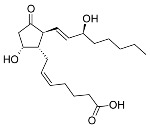Prostaglandin